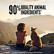 Show in main carousel: ORIJEN Original Grain-Free High-Protein Freeze-Dried Dog Food & Topper, 6-oz bag slide 6 of 14