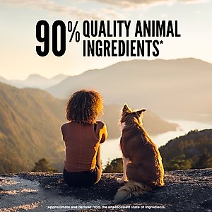 ORIJEN Original Grain-Free Freeze-Dried Dog Food & Topper, 16-oz bag