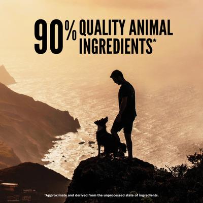 Show full view: ORIJEN Regional Red Grain-Free High-Protein Freeze-Dried Dog Food & Topper, 16-oz bag slide 6 of 14