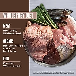 ORIJEN Regional Red Grain-Free High-Protein Freeze-Dried Dog Food & Topper, 16-oz bag slide 2 of 9