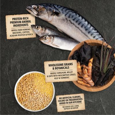 Show full view: ACANA Sea to Stream Saltwater Fish Wholesome Grains Dry Dog Food, 22.5-lb bag slide 4 of 14