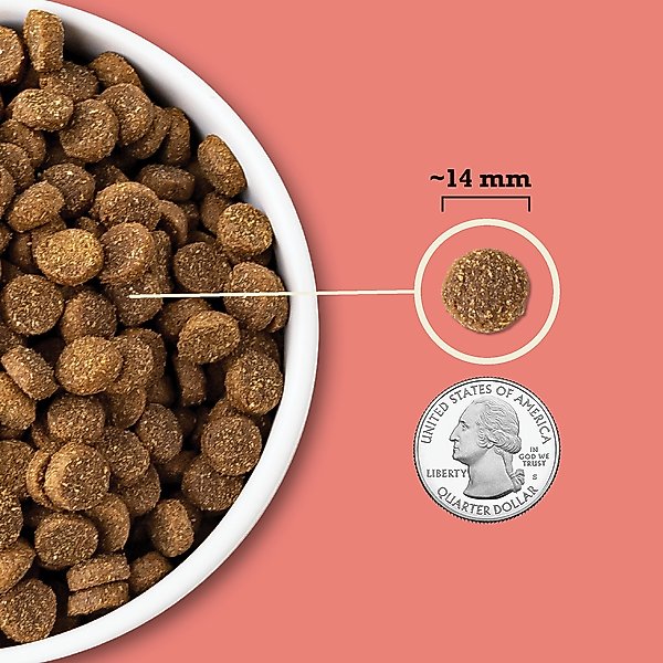 Show full view: ACANA Red Meat & Grains Beef Pork & Lamb Wholesome Grains Dry Dog Food, 4-lb bag slide 6 of 14