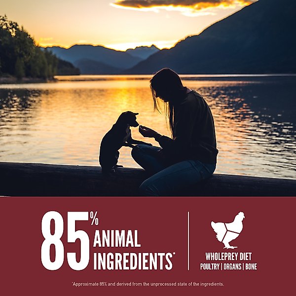 Show full view: ORIJEN Small Breed Grain-Free High-Protein Dry Dog Food, 4-lb bag slide 6 of 14