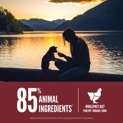ORIJEN Small Breed Grain-Free High-Protein Dry Dog Food
