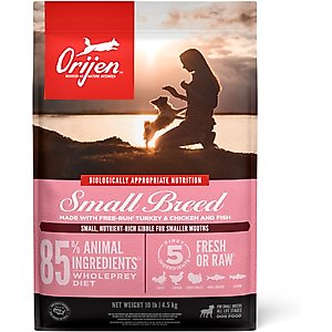 ORIJEN Small Breed Grain-Free High-Protein Dry Dog Food, 10-lb bag