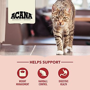 ACANA Indoor Entree Chicken Turkey Whole Herring & Rabbit Dry Cat Food, 10-lb bag