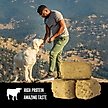 Show in main carousel: ORIJEN Ranch-Raised Beef Grain-Free High-Protein Freeze-Dried Dog Treats, 3.25-oz bag slide 5 of 10