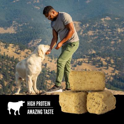 Show full view: ORIJEN Ranch-Raised Beef Grain-Free High-Protein Freeze-Dried Dog Treats, 3.25-oz bag slide 5 of 10