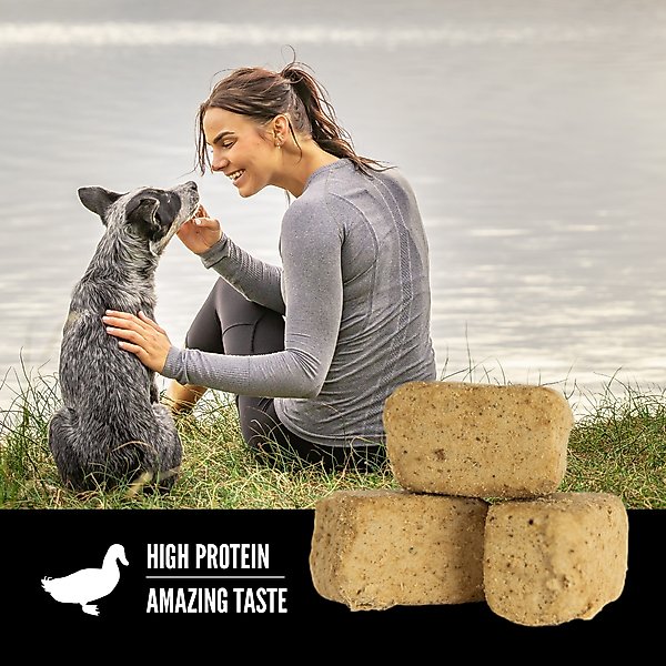 Show full view: ORIJEN Free Run Duck Grain-Free High-Protein Freeze-Dried Dog Treats, 3.25-oz bag slide 5 of 10