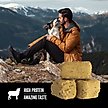 Show in main carousel: ORIJEN Grass Fed Lamb Grain-Free High-Protein Freeze-Dried Dog Treats, 3.25-oz bag slide 5 of 10