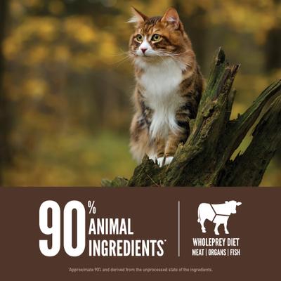 Show full view: ORIJEN Regional Red Grain-Free High-Protein Premium Dry Cat Food, 4-lb bag slide 6 of 12