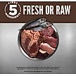 Show in main carousel: ORIJEN Regional Red Grain-Free Poultry Free High-Protein Dry Dog Food, 4.5-lb bag slide 4 of 14