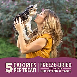 ACANA Singles Lamb & Apple Formula Grain-Free Freeze-Dried Dog Treats, 3.25-oz bag
