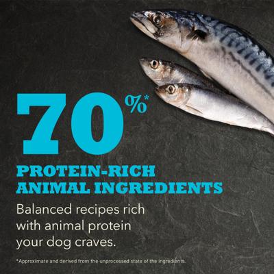 Show full view: ACANA Wild Atlantic Highest Protein Grain-Free Dry Dog Food, 4.5-lb bag slide 4 of 14