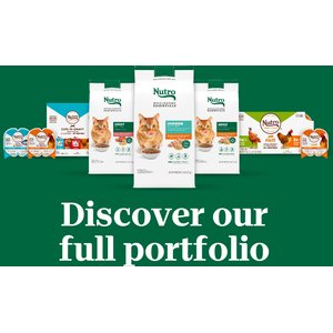Nutro Wholesome Essentials Salmon & Brown Rice Recipe Dry Cat Food, 5-lb bag