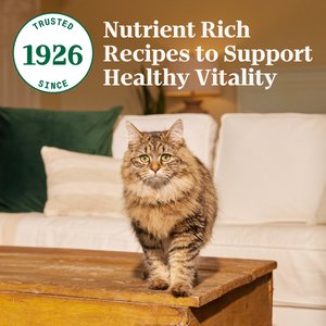 Nutro Wholesome Essentials Salmon & Brown Rice Recipe Dry Cat Food, 5-lb bag