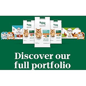 Nutro Wholesome Essentials Salmon & Brown Rice Recipe Dry Cat Food, 14-lb bag