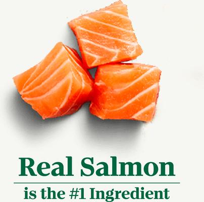 Show full view: Nutro Wholesome Essentials Salmon & Brown Rice Recipe Dry Cat Food, 3-lb bag slide 4 of 11