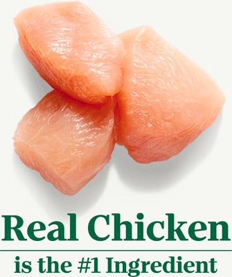 Show full view: Nutro Wholesome Essentials Chicken & Brown Rice Recipe Kitten Dry Cat Food, 3-lb bag slide 4 of 10