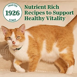 Nutro Wholesome Essentials Chicken & Brown Rice Recipe Senior Dry Cat Food, 14-lb bag