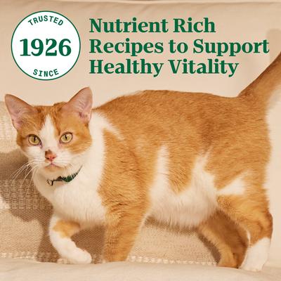 Show full view: Nutro Wholesome Essentials Chicken & Brown Rice Recipe Senior Dry Cat Food, 14-lb bag slide 6 of 10