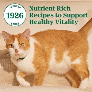 Nutro Wholesome Essentials Chicken & Brown Rice Recipe Senior Dry Cat Food, 3-lb bag