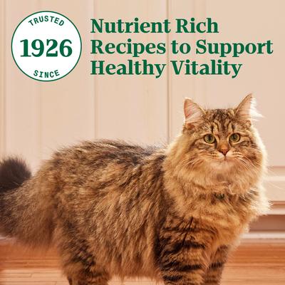 Show full view: Nutro Wholesome Essentials Chicken & Brown Rice Recipe Hairball Control Dry Cat Food, 3-lb bag slide 6 of 10