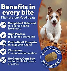 Dave's Pet Food Beef, Rice & Pumpkin High-Protein Freeze-Dried Dog Treats, 4-oz bag slide 2 of 9