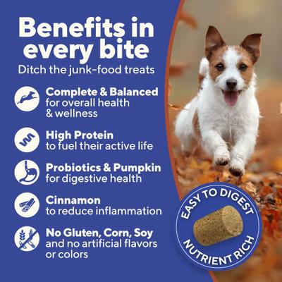 Show full view: Dave's Pet Food Chicken, Rice & Pumpkin High-Protein Freeze-Dried Dog Treats, 4-oz bag slide 4 of 10