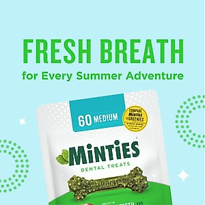 Minties Medium Mint Flavored Dental Treats for Dogs, 25-50 lbs, 32-oz, 40 count