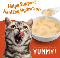 Friskies Complement Variety Pack Lil' Soups with Salmon & Chicken & Shrimp Grain-Free Wet Cat Food Topper, 1.2-oz tray, case of 8 slide 2 of 8
