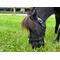 Show in main carousel: GreenGuard Grazing Horse Muzzle, Black, Mini, 3.5-in slide 2 of 8