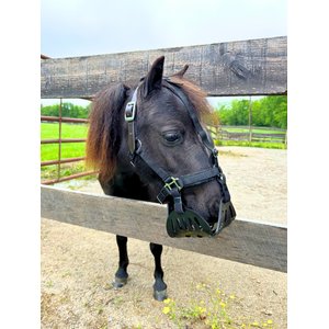 GreenGuard Grazing Horse Muzzle, Black, Mini, 3.5-in