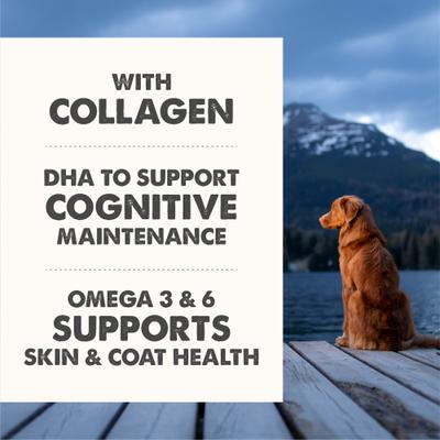 Show full view: Grizzly Life Stage Liquid Health Supplement for Senior Dogs, 16-fl oz bottle slide 6 of 11