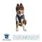 Show in main carousel: Hip Doggie EZ Step-In Dog Harness Vest, Large slide 2 of 8