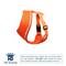 Show in main carousel: Hip Doggie Ultra Comfort Reflective Dog Harness, Orange, XX-Large slide 3 of 8