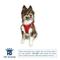 Show in main carousel: Hip Doggie EZ Reflective Dog Harness, Red, Small slide 2 of 8