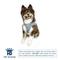 Show in main carousel: Hip Doggie EZ Reflective Dog Harness, Gray, Medium slide 2 of 8