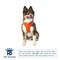 Show in main carousel: Hip Doggie EZ Reflective Dog Harness, Orange, Medium slide 2 of 8