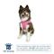 Show in main carousel: Hip Doggie EZ Reflective Dog Harness, Pink, Large slide 2 of 8