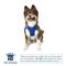 Show in main carousel: Hip Doggie EZ Reflective Dog Harness, Royal Blue, Large slide 2 of 8