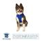 Show in main carousel: Hip Doggie Ultra Comfort Reflective Dog Harness, Royal Blue, Large slide 2 of 8