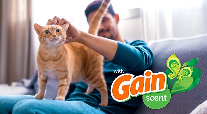 Fresh Step Febreze Freshness Gain Scented Clumping Clay Cat Litter