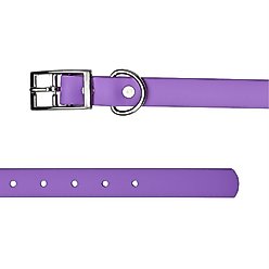 Tailr Premium BioThane Dog Collar, Bright Lavender, Large: 15 to 18-in neck, 3/4-in wide