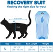 Show in main carousel: SunGrow Cat Recovery Suit, Large slide 3 of 3