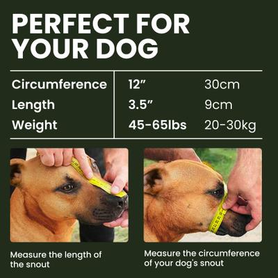 Show full view: BRONZEDOG Pitbull Breathable Metal Basket Nylon Dog Muzzle, Large, Gray slide 2 of 7