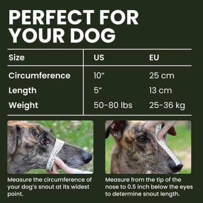 Show full view: BRONZEDOG Greyhound & Collie Metal Wire Basket Dog Muzzle, Steel, Large slide 2 of 7