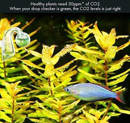 Show full view: SunGrow Glass Drop Checker with Solution for Betta Fish Tank Plants, Aquarium CO2 Indicator Kit  slide 5 of 7