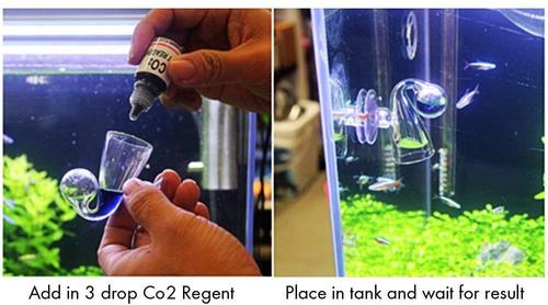 Show full view: SunGrow Glass Drop Checker with Solution for Betta Fish Tank Plants, Aquarium CO2 Indicator Kit  slide 3 of 7