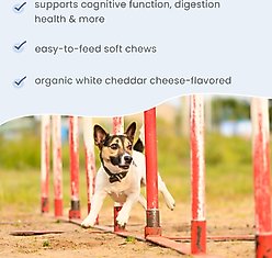 Bark and Whiskers Brain Boost Bites Supplement for Dogs & Cats, 6.34-oz bag slide 2 of 5